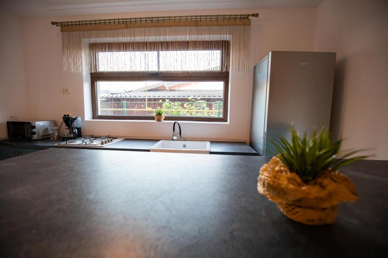 Dania&Petru Residence Tîrgu Ocna 외부 사진